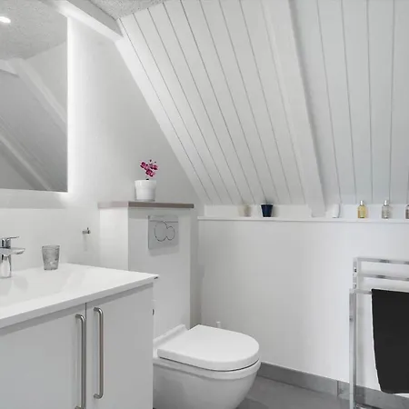 299-ringkobing-havklitvej-24 Holiday home *